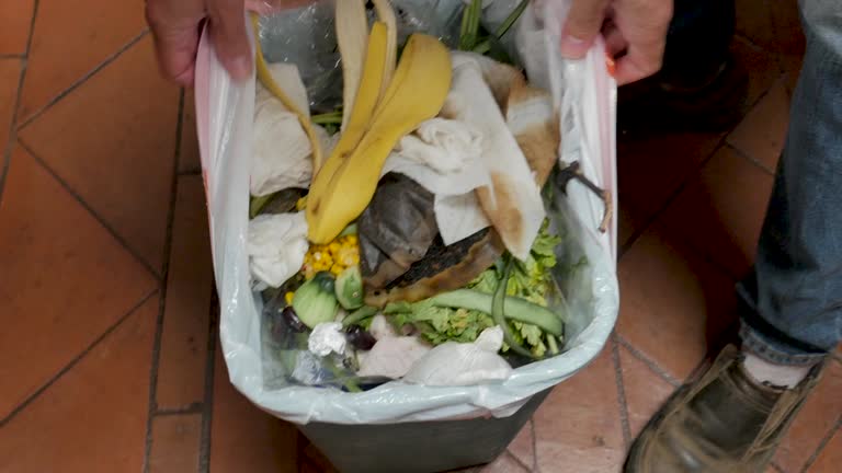 Best Dumpster Rental Services  in Hayfield, MN